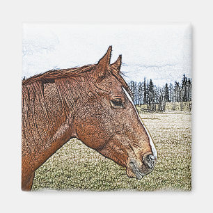 Sorrel Horse Portrait Equine Art Illustration Magnet