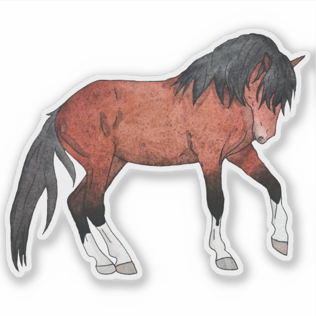Sorrel with White Socks (Front)