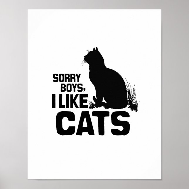 SORRY BOYS I LIKE CATS -.png Poster (Front)