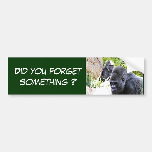 Sorry!_ Bumper Sticker (Front)