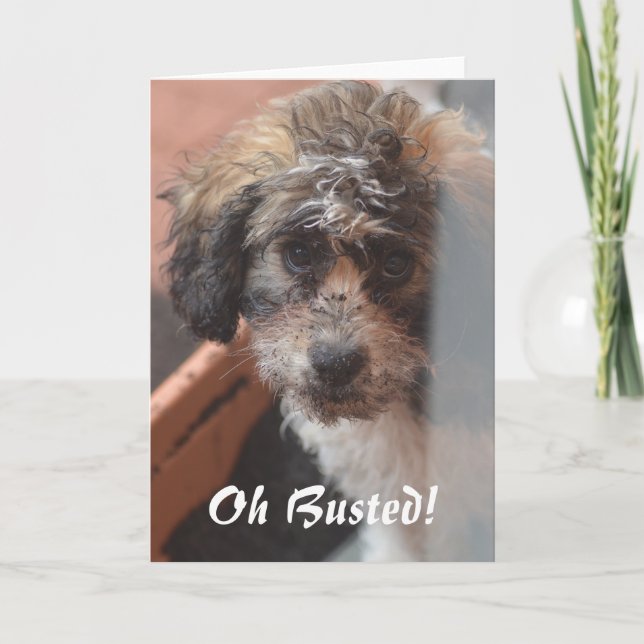 Sorry Card (Front)