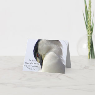 Sorry_ Card