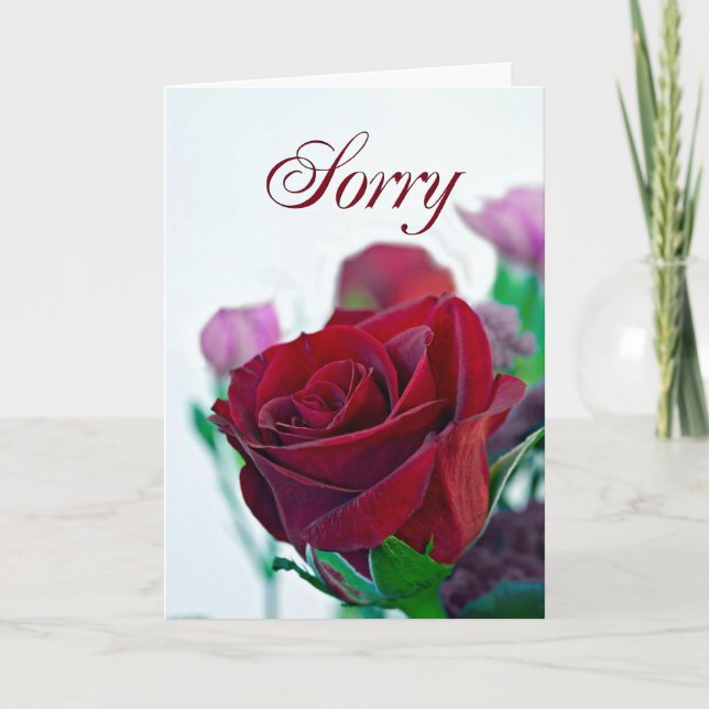 Sorry card with a red rose (Front)