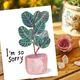 Sorry Condolences Calathea Prayer Plant Watercolor Postcard