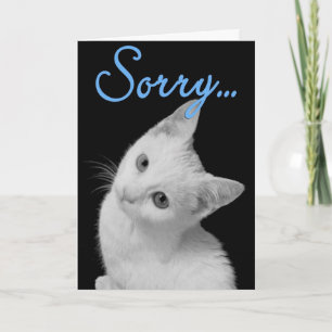Sorry Cute Turkish Van Kitten Black & White Photo Card