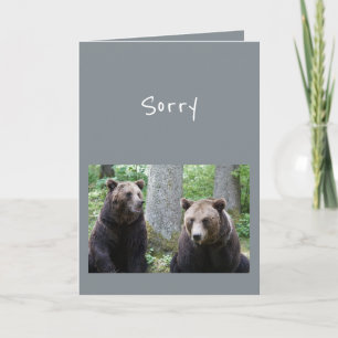 Sorry for what you said Bear Animal Humor Card