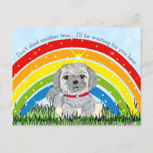 Sorry for your Loos, Dog Memorial Holiday Postcard