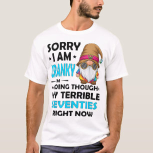 Sorry I Am Cranky I'M Going Through My Terrible  T-Shirt