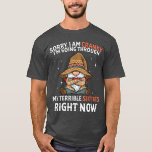 Sorry I Am Cranky Im Goinghrough Myerrible Sities T-Shirt