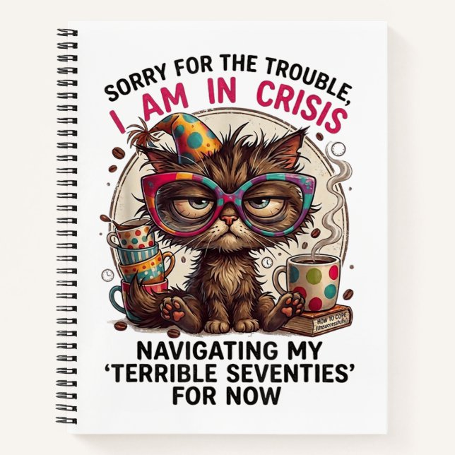 Sorry I Am in Crisis Funny 70th Birthday Quote  Notebook (Front)