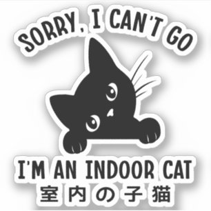 Sorry I Can’t Go I’m an Indoor Cat Funny Kitten