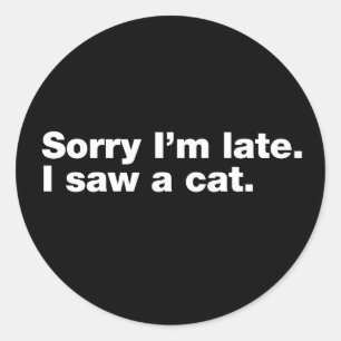 Sorry I’m late. I saw a cat Classic Round Sticker