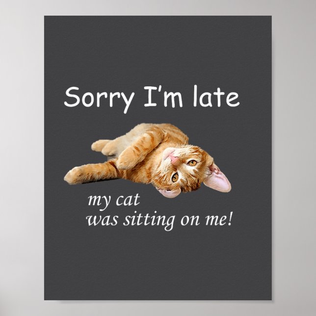 Sorry I'm Late, My Cat Was Sitting On Me. Men Wome Poster (Front)