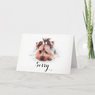 Sorry Love Yorkies (5" x 7"), white envelopes Card