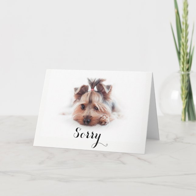 Sorry Love Yorkies (5" x 7"), white envelopes Card (Front)