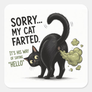 Sorry My Cat Farted Funny Black Cat Humour Square Sticker