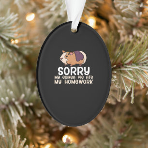 Sorry My Guinea Pig Ate My Homework Cute Pet Ornament