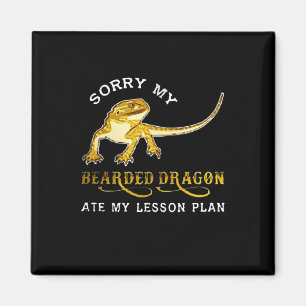 Sorry my Iguana bearded dragon ate my lesson plan. Magnet