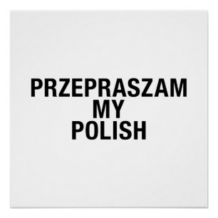 Sorry My Polish Language Poster