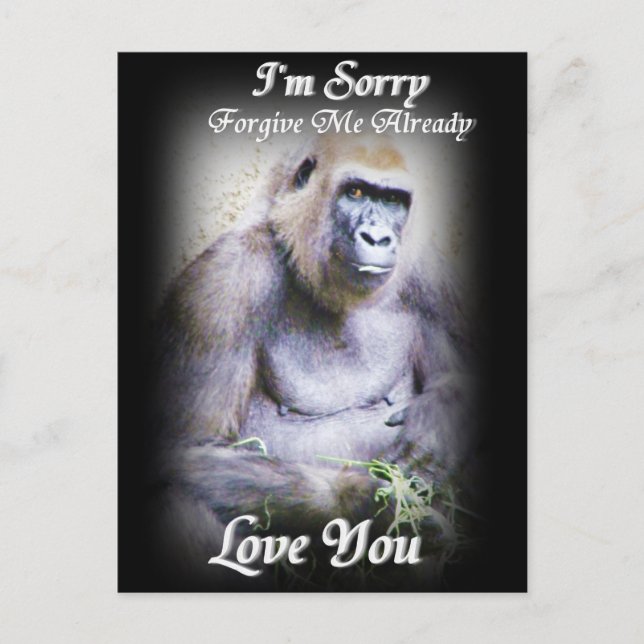 Sorry_ Postcard (Front)