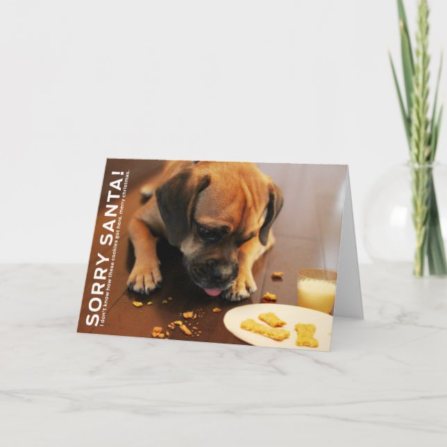 Sorry Santa Holiday Card (Front)