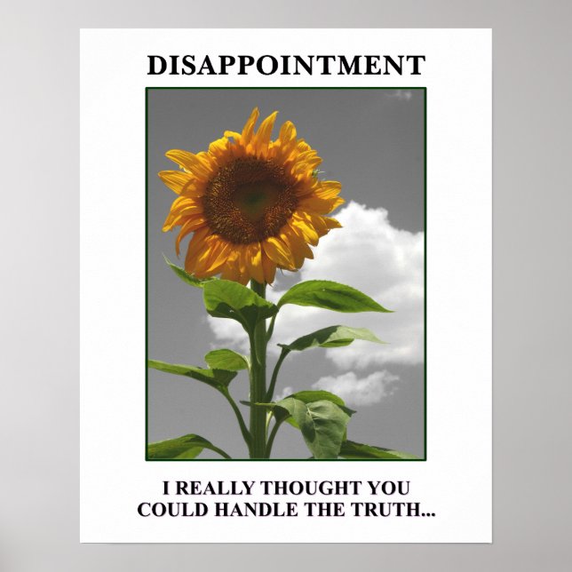 Sorry to disappoint you but you disappoint me [S] Poster (Front)
