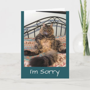 Sorry Too Cute Not To Forgive Kimber Cat Card