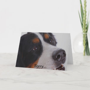 Sorry, you lost your pet card