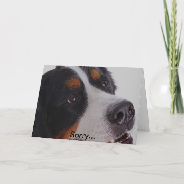 Sorry, you lost your pet card (Front)