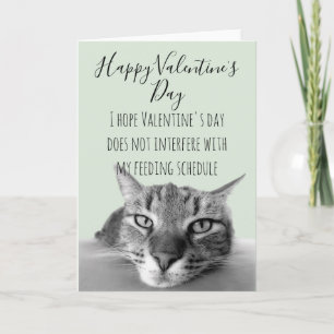 Sorry You're Sick Get Well Soon From Cat Humour Card