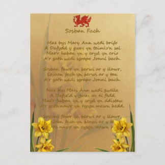 Sosban Fach Welsh Song Postcard