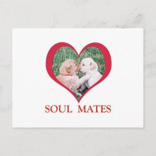 Soul Mates Shirts, Cards, Mugs Postcard