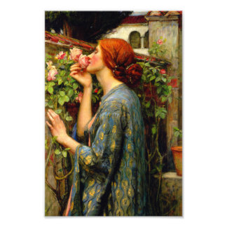 Soul of the Rose John William Waterhouse Photo Print