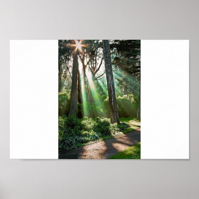 Soul Shine Poster (Front)