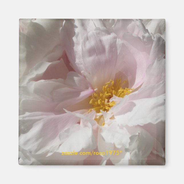 Soulage Magnet (Front)