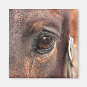 Soulful Eye Magnet