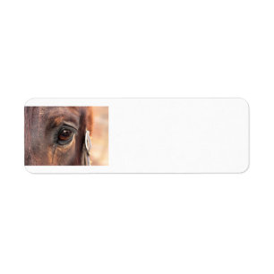 Soulful eye return address label