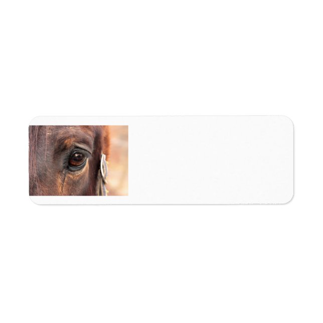 Soulful eye return address label (Front)