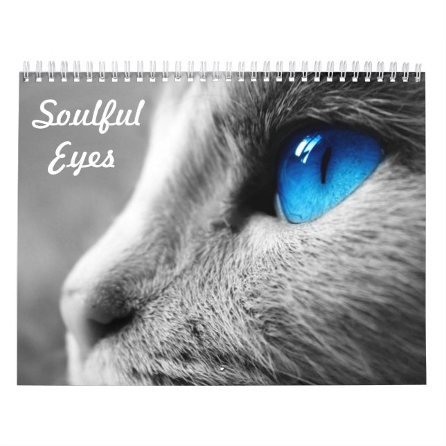 Soulful Eyes of the Cat Calendar (Cover)