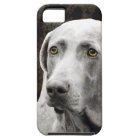 Soulful Eyes of the Weimaraner