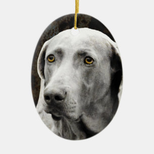 Soulful Eyes of the Weimaraner Ceramic Tree Decoration