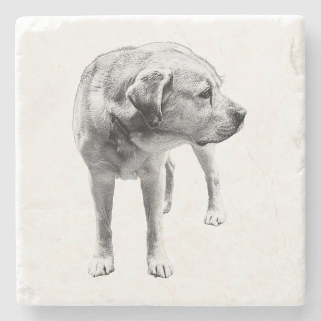 Soulful Lab – Quiet Accent Stone Coaster (Front)