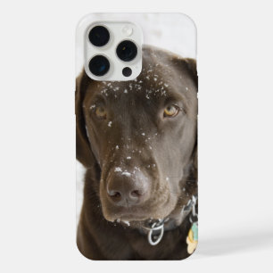 Soulful Snow Sprinkled Chocolate Labrador Case-Ma iPhone 15 Pro Max Case