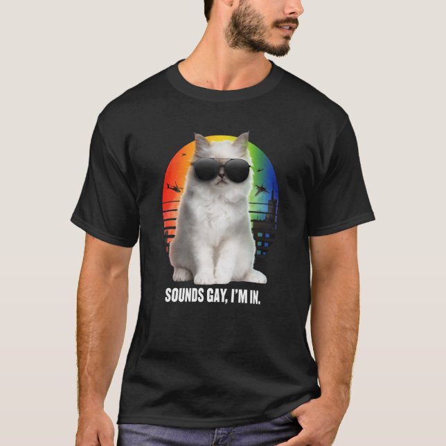 Sounds Gay I'm In Rainbow Cat Gay Pride Sunset Ret T-Shirt (Front)