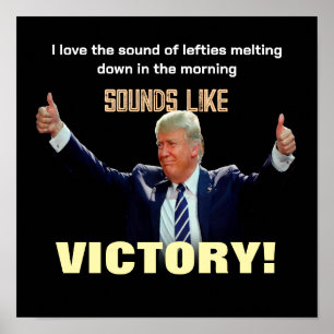 Sounds Like Victory! Poster