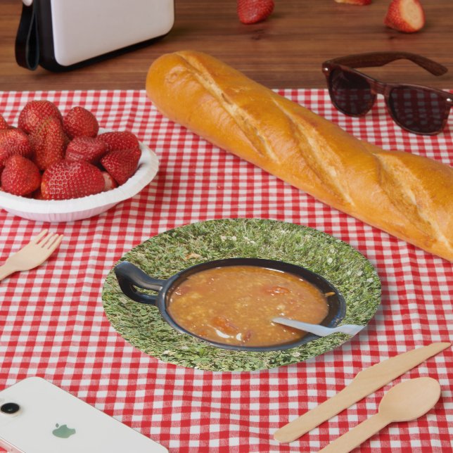 Soup on the Paper Plate (Picnic)