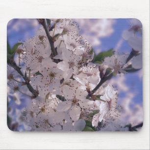 Sour Cherry Tree Blue Sky Mouse Pad