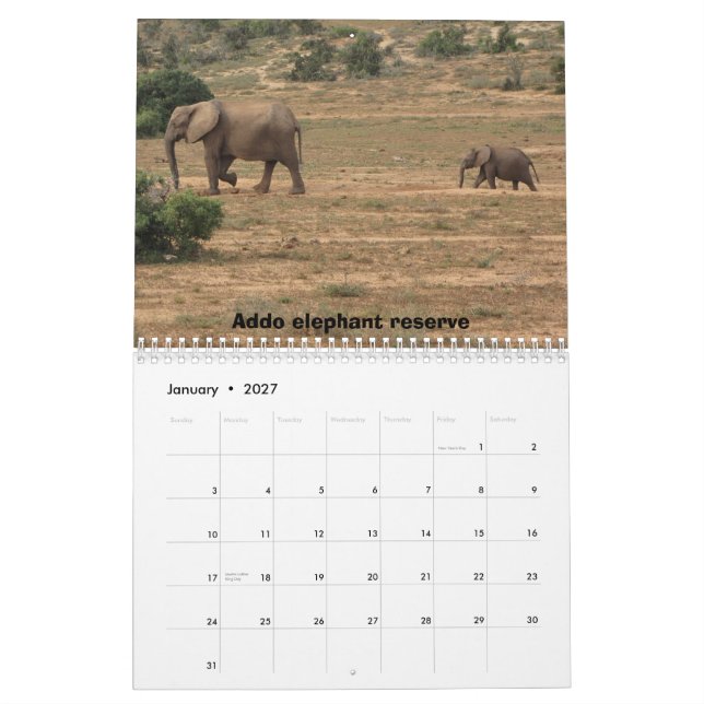 South Africa 2011 Calendar (Jan 2027)