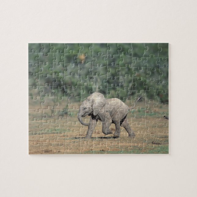 South Africa, Addo Elephant Nat'l Park. Baby Jigsaw Puzzle (Horizontal)