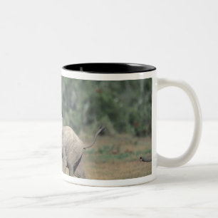 South Africa, Addo Elephant Nat'l Park. Baby Two-Tone Coffee Mug
